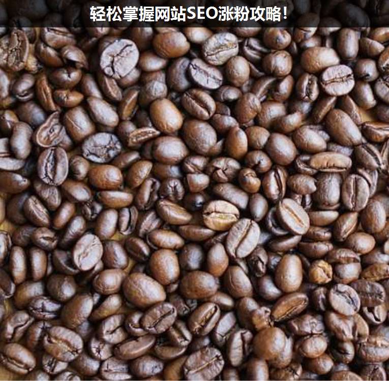 輕松掌握網站SEO漲粉攻略!