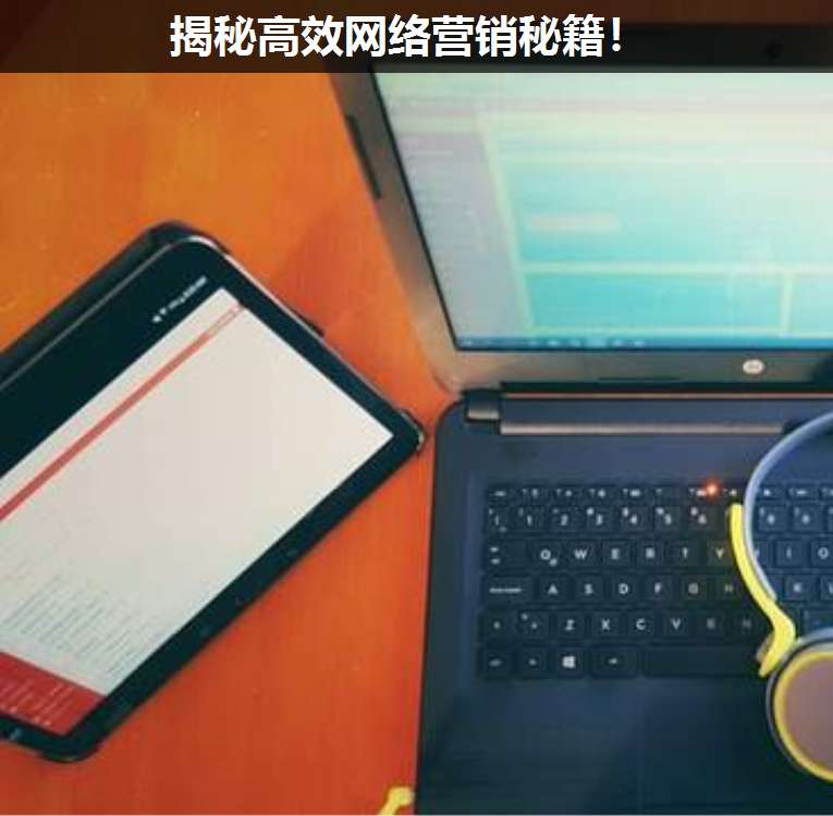 揭秘高效網(wǎng)絡(luò)營(yíng)銷秘籍!
